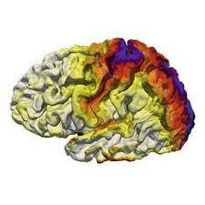 Prueba de inteligencia