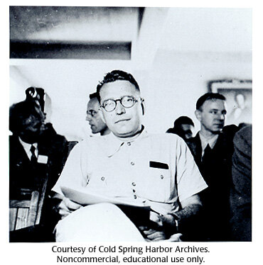 Cambio en el modelo tetranucleotido plano