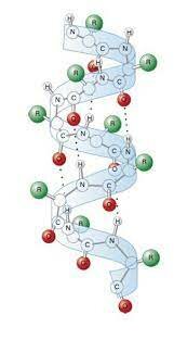La cumbre de la cristalografía