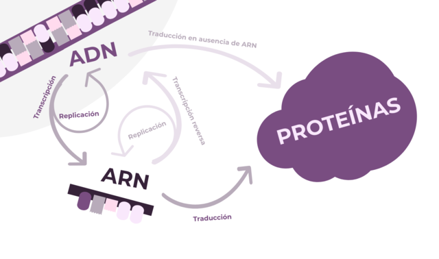 Dogma central de la biología molecular