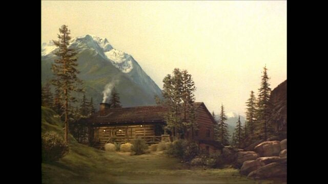 String Spent 1 Year @Cabin