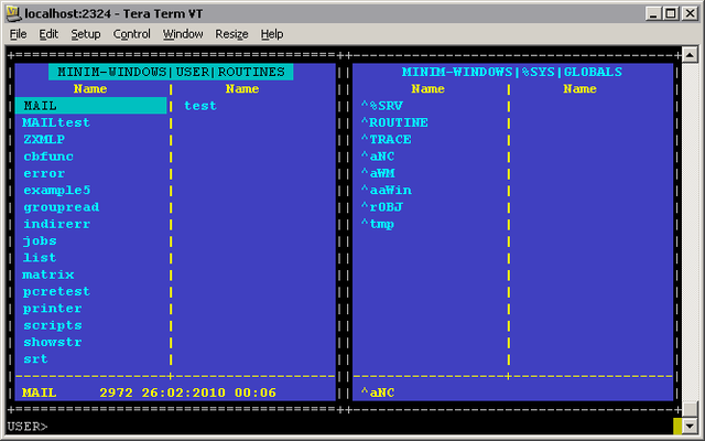 Lenguaje De Computación En Área Médica