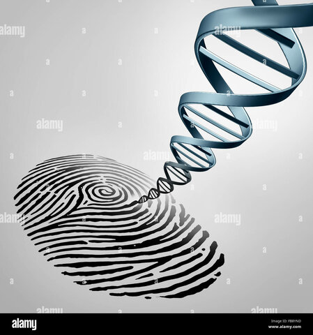 Genome fingerprints
