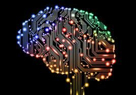 WEB "red"  Cibernética y sociedad