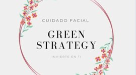 Timeline: green strategy