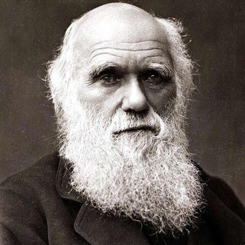 Charles Darwin's On the Origin of Species