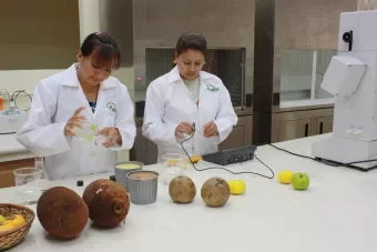 Ingeniería de Alimentos