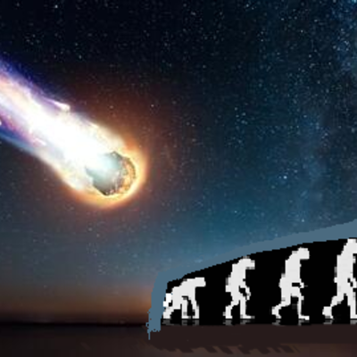 Timeline: El recorrido de las teorías  evolutivas.