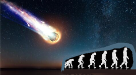 Timeline: El recorrido de las teorías  evolutivas.