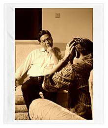 Clínicas psicoeducativas