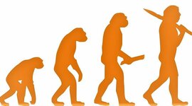 Timeline: Linea de tiempo Evolucion & Filogenia