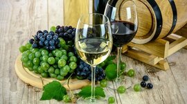 Timeline: Historia del vino