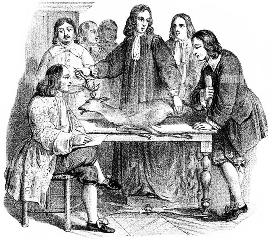 Descubrimiento de la sangre