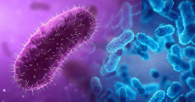 DESARRROLO DE LA MICROBIOLOGÍA: Se divide en 4 peridodos.