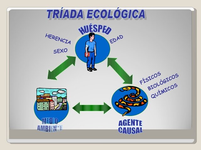 TRIADA ECOLOGICA