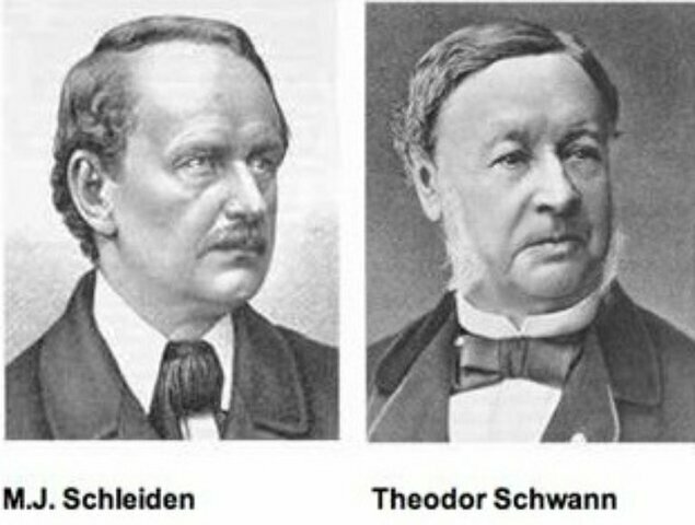Schleiden y Schwann