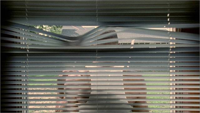 Jennifer Allora & Guillermo Calzadilla. A Man Screaming is Not a Dancing Bear, 2008