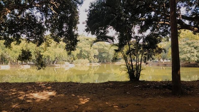 Exploración del Campus Univalle