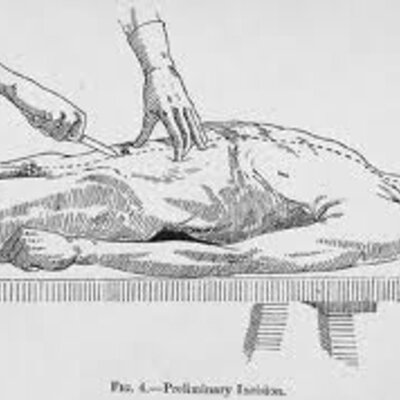 Timeline: Antecedentes históricos de la Medicina Forense