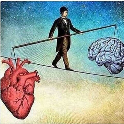 Dominio de las imágenes