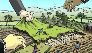 Concentración de la Propiedad Rural