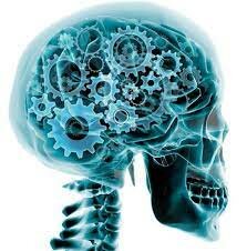 Neurofisiología  y Luigi Galvani  siglo XVIII