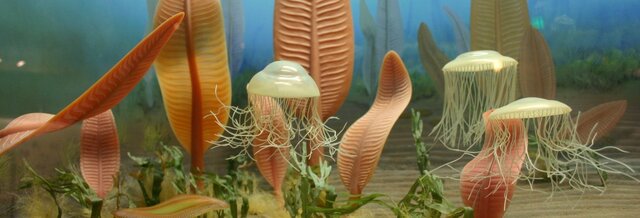 Aparición de la vida en la tierra (Animales y plantas) (4 billones de años)