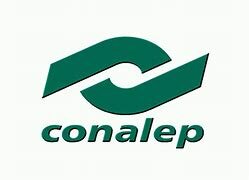 Sin decisión propia