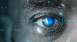 Timeline: Linea de tiempo