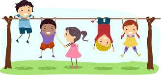 Rendir informes semestrales sobre los resultados de las evaluaciones