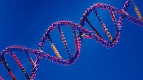 Gregor Mendel comienza el estudio de las leyes de la herencia genética.