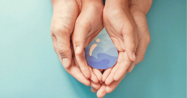 Año Internacional del 2003