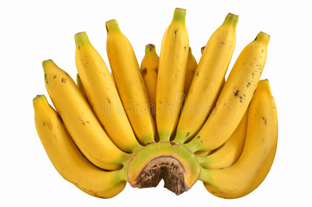 En Marcha el emprendimiento