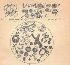 Teoría sulfociánica sobre el origen de la vida.