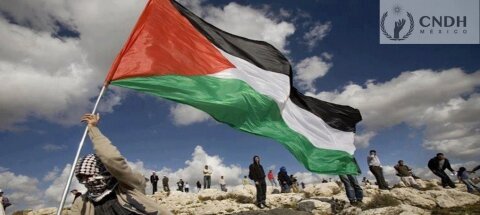 Años Internacionales de 2014