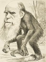 Darwin's Evolutionary Theory