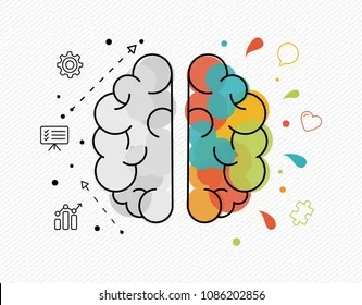 ARGUMENTACION JURIDICA EN EL CAMPO DE LO RACIONAL