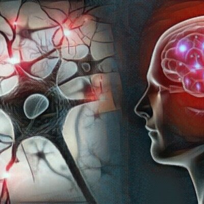 Timeline: Evolución de la Neurociencia del Comportamiento. Edad Contemporanea