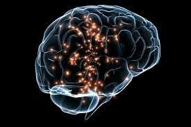 Nace la Neurociencia