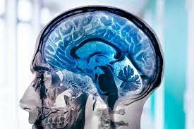 Neurología, la Neuropsicología, la Neuroanatomía y la Neurofisiología