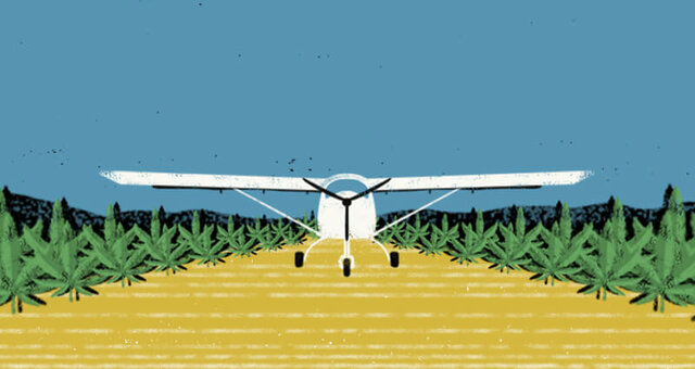 Bonanza Marimbera (1975)