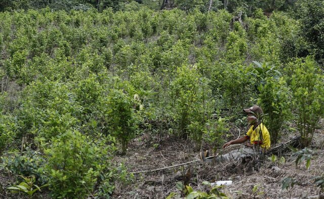 Surgimiento del PISDA (2020)