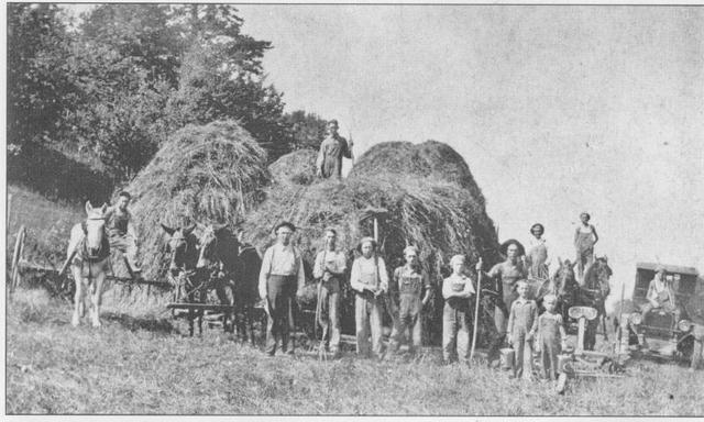 Farms in Transylvania County