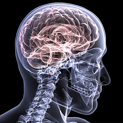 Timeline: HISTORIA DE LAS NEUROCIENCIAS DEL COMPORTAMIENTO