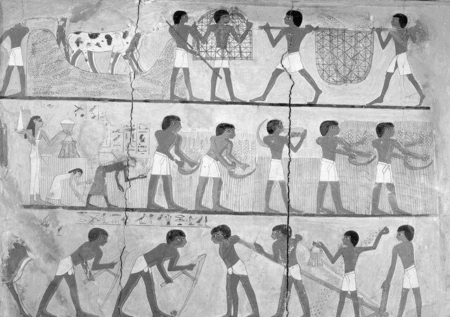 Mural de una tumba egipcia hace 3.500 años