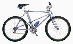 The Mountain Bike