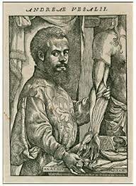 Andrea Vesalius (1511 - 1564)
