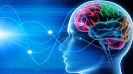 Timeline: Neurociencias linea del tiempo