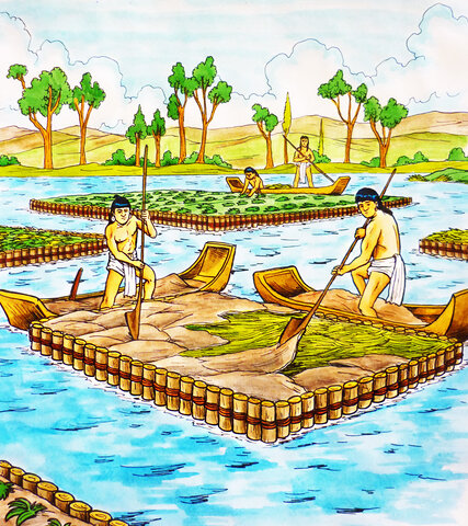 Creación de las chinampas