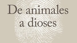 Timeline: De animales a dioses